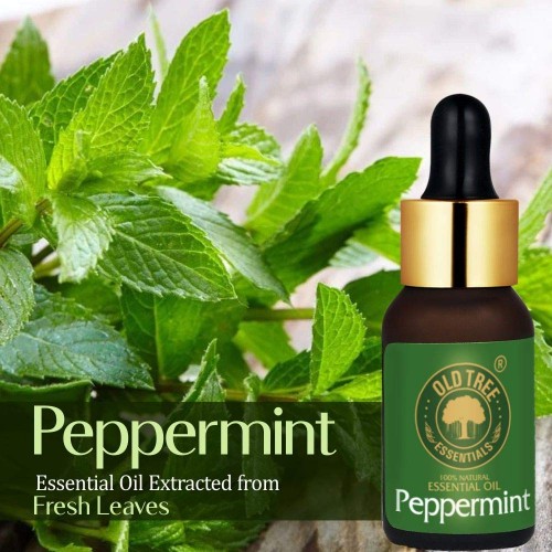 Peppermint oil store price